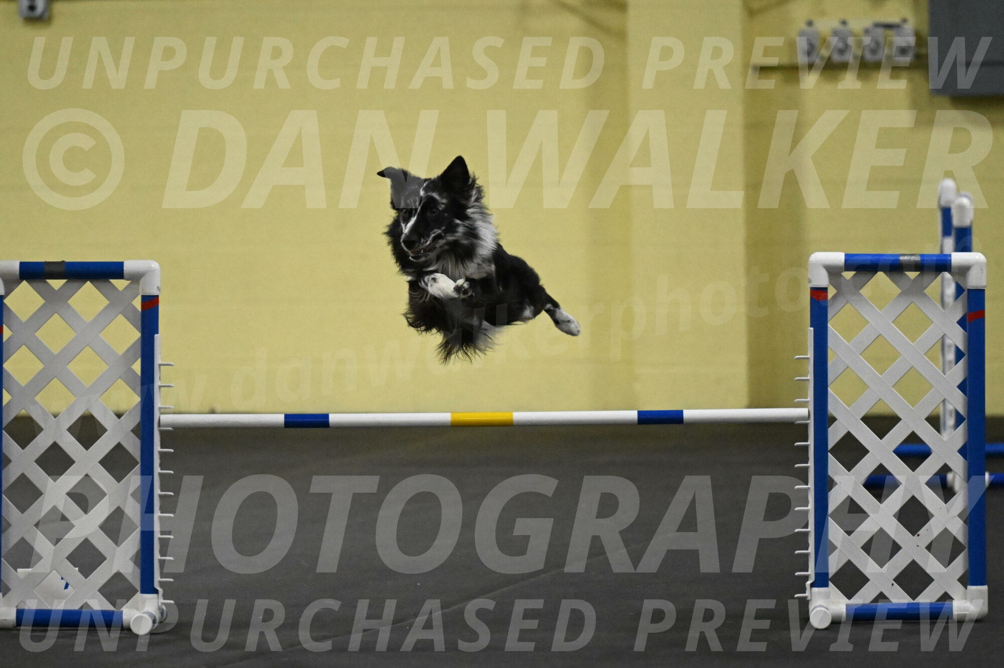 Sir-Koen-Armbrust-03852