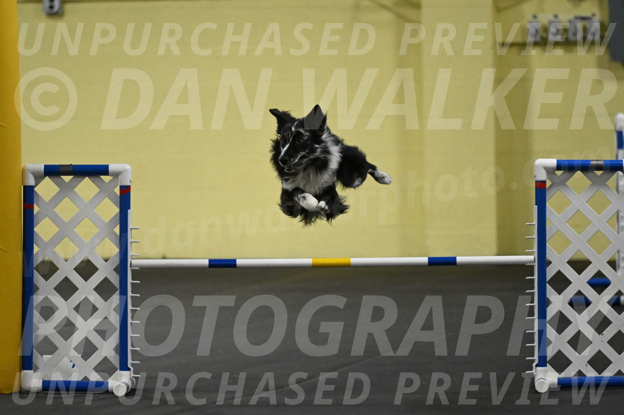 Sir-Koen-Armbrust-03853