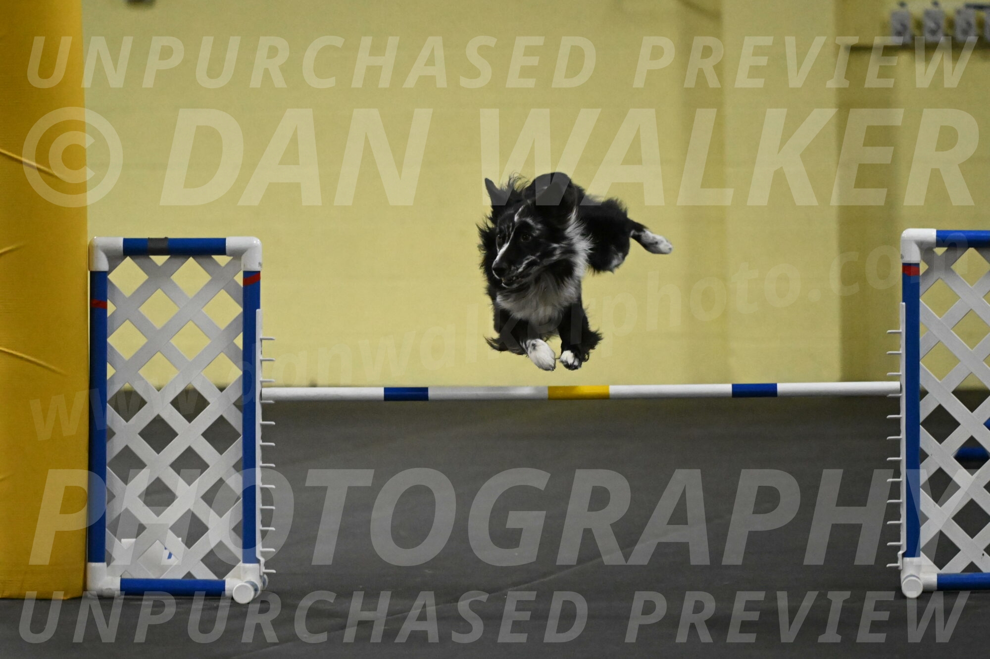 Sir-Koen-Armbrust-03854