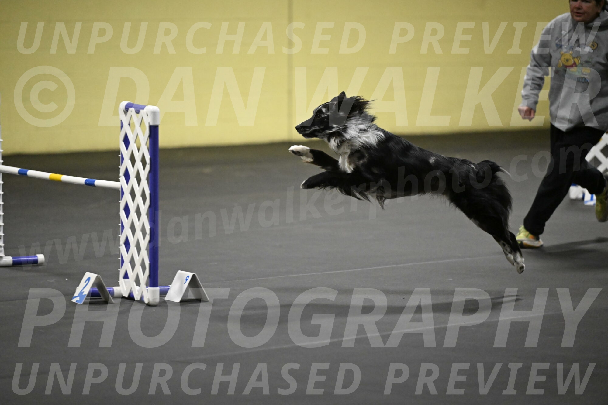 Sir-Koen-Armbrust-03858