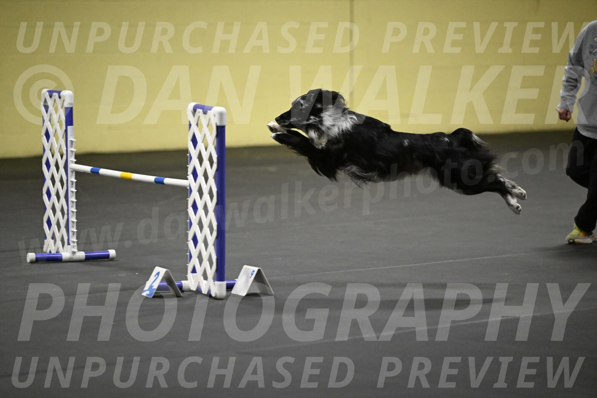 Sir-Koen-Armbrust-03859