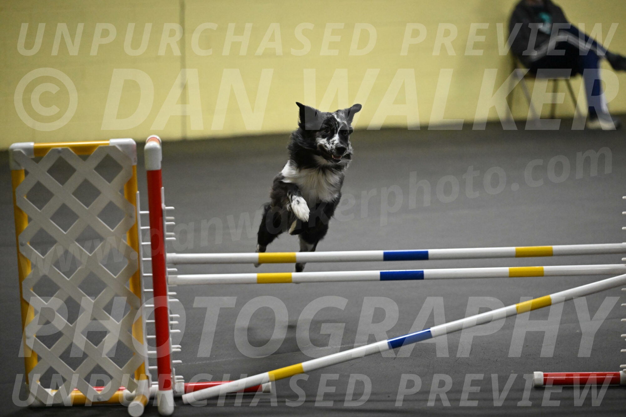 Sir-Koen-Armbrust-03860