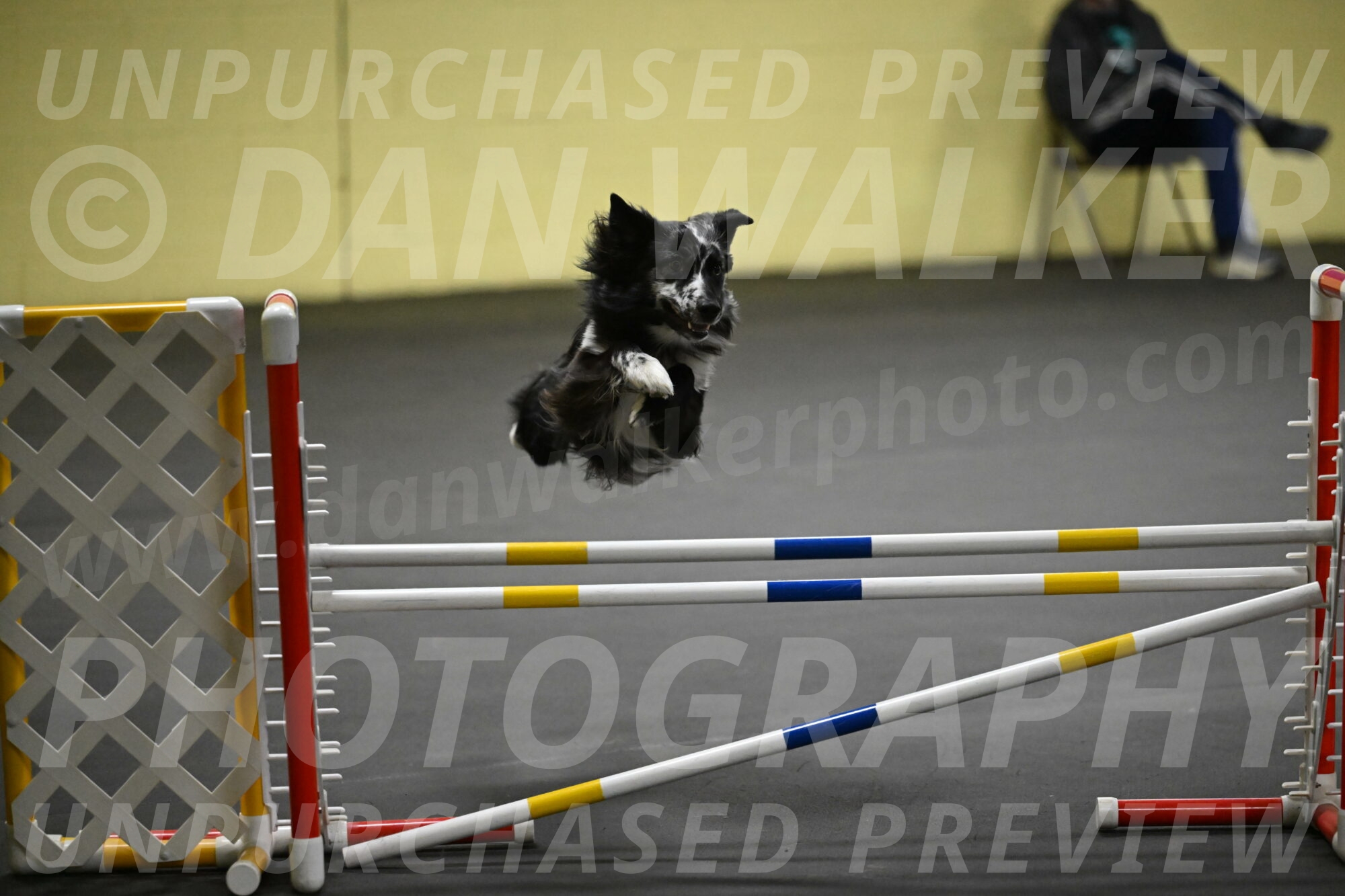 Sir-Koen-Armbrust-03861