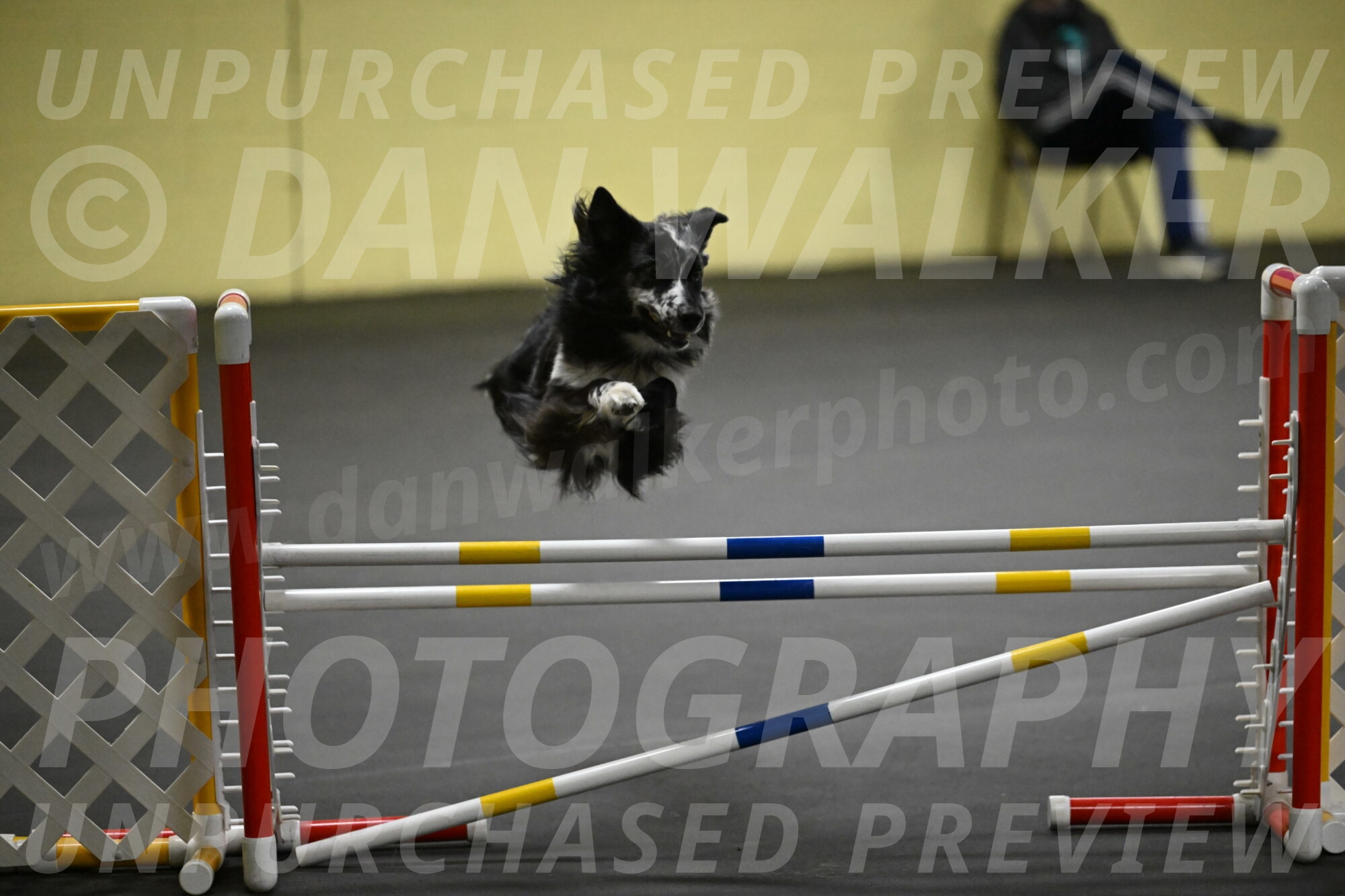 Sir-Koen-Armbrust-03862