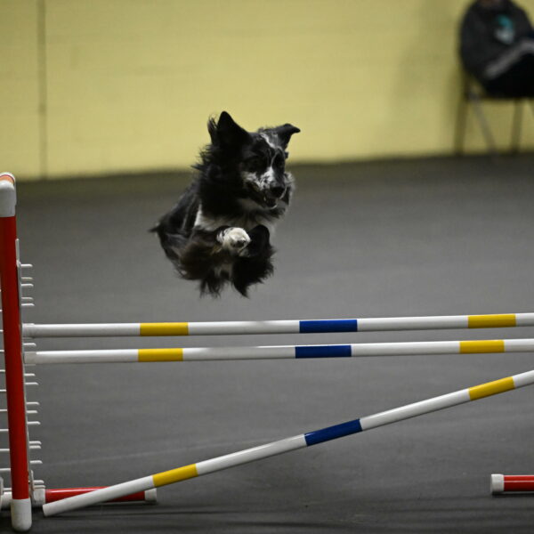 Sir-Koen-Armbrust-03862