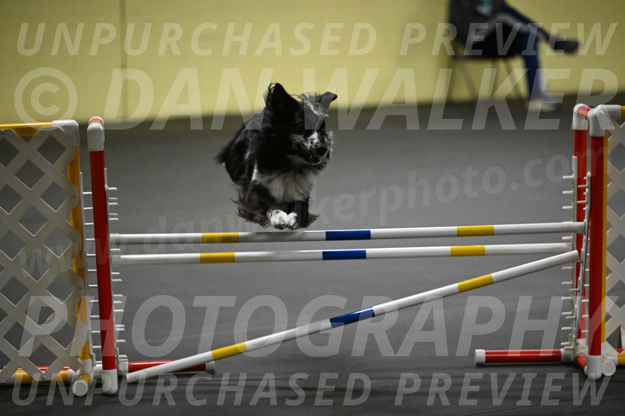 Sir-Koen-Armbrust-03863