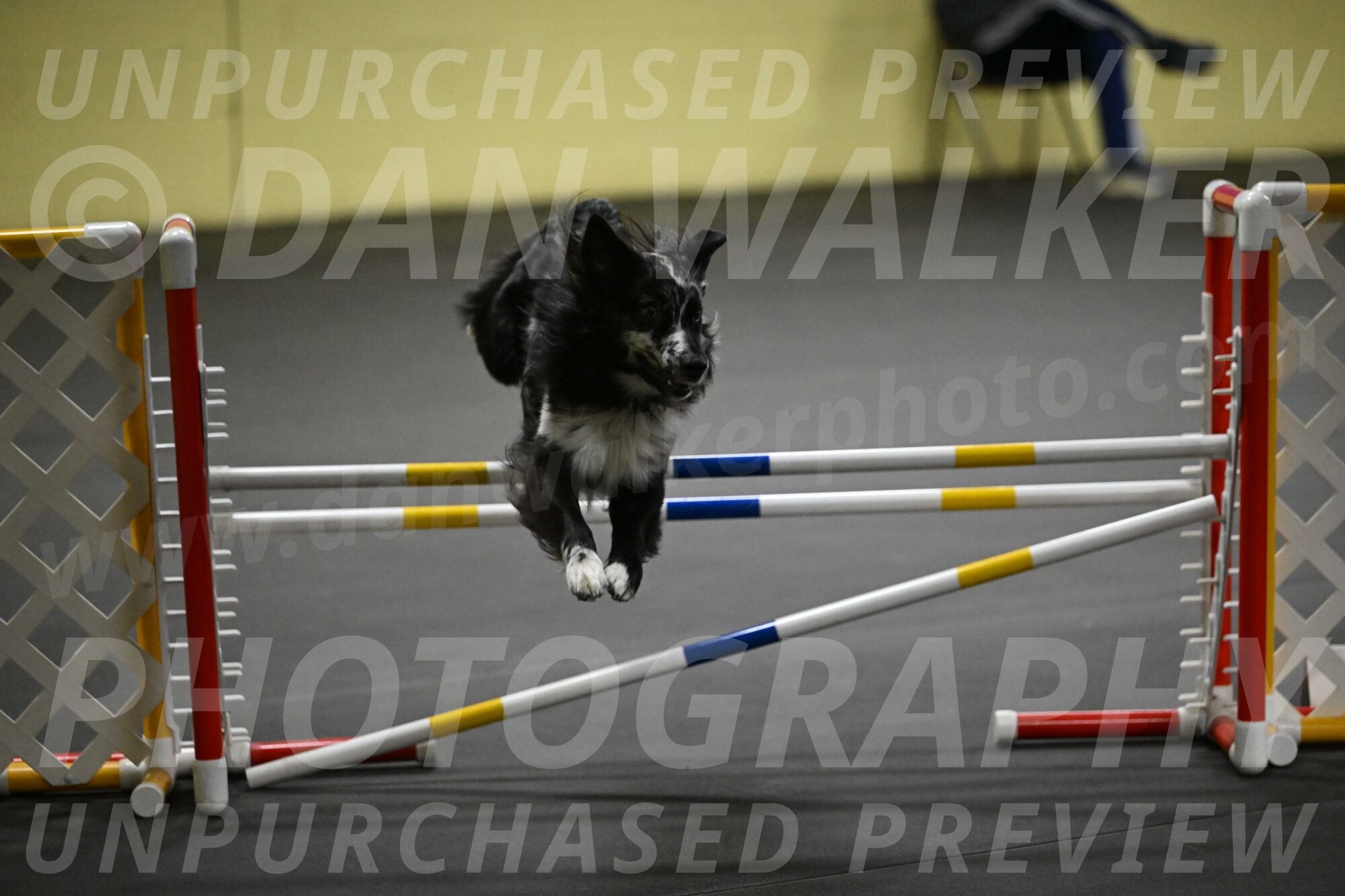 Sir-Koen-Armbrust-03864