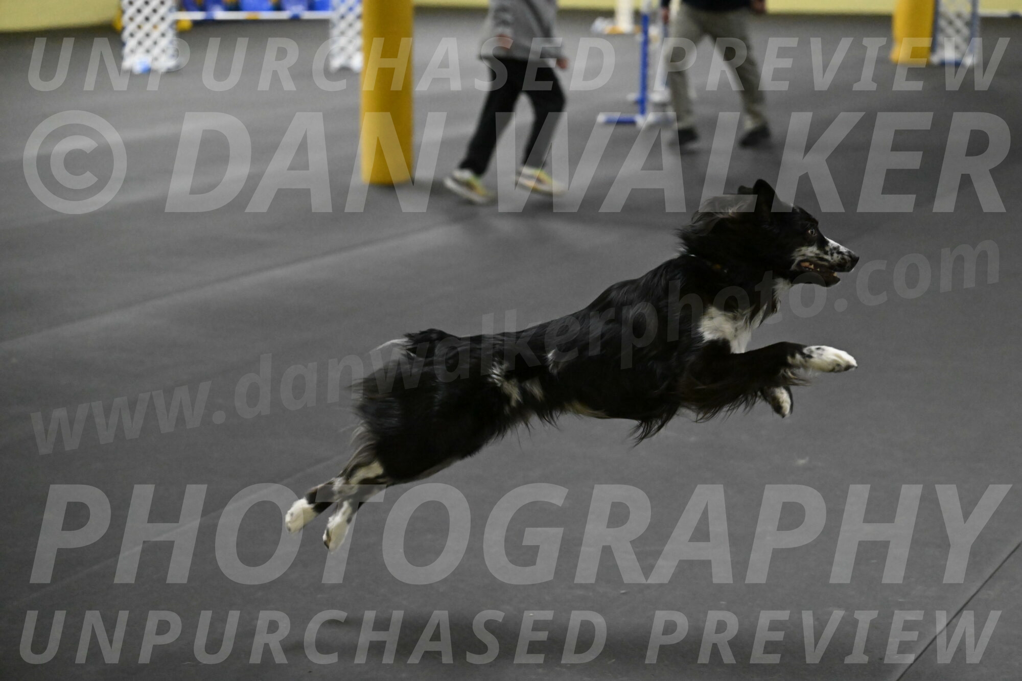 Sir-Koen-Armbrust-03866