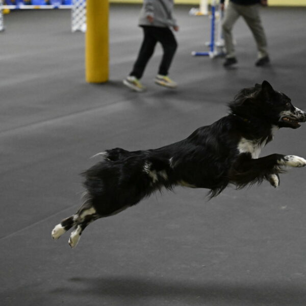 Sir-Koen-Armbrust-03866