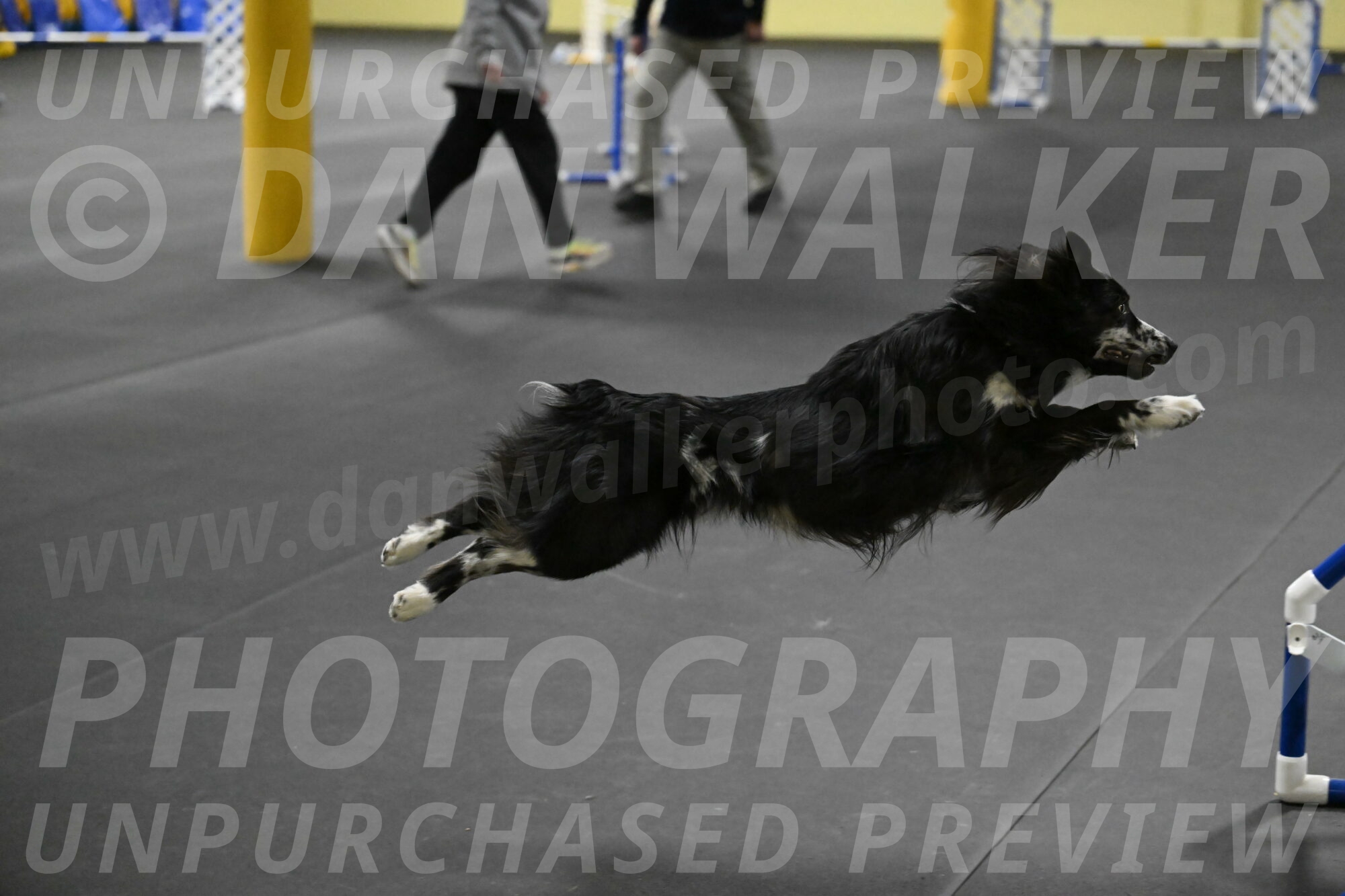 Sir-Koen-Armbrust-03867