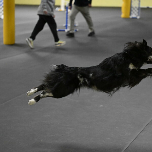 Sir-Koen-Armbrust-03867