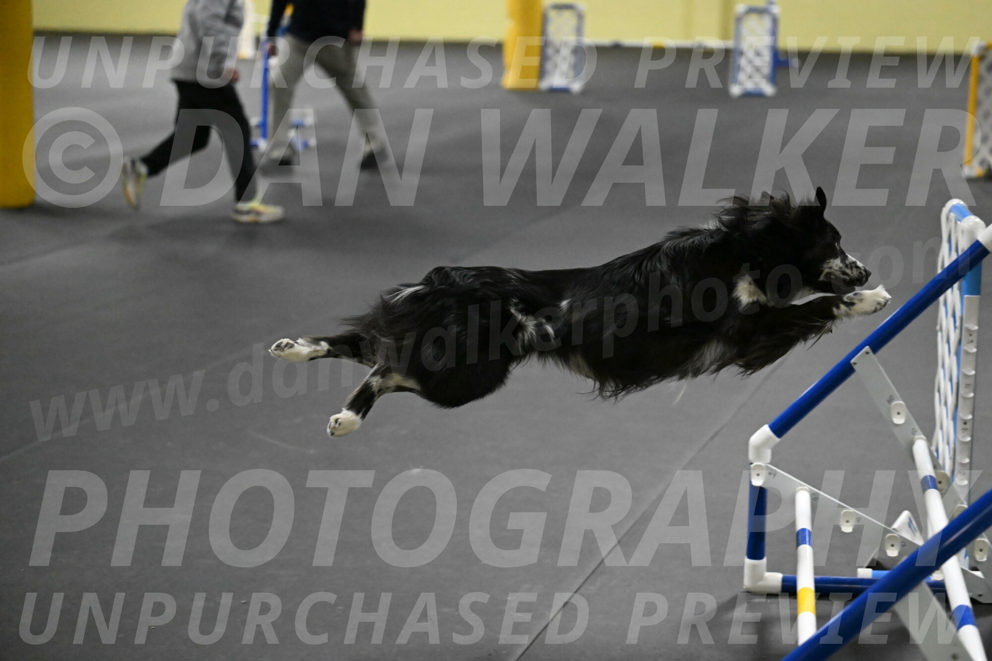 Sir-Koen-Armbrust-03868