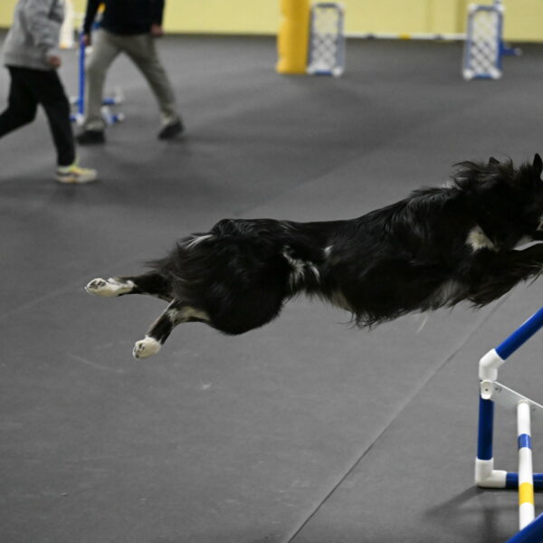 Sir-Koen-Armbrust-03868