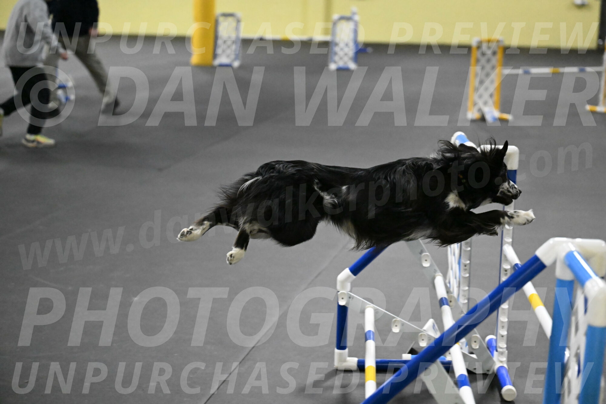 Sir-Koen-Armbrust-03869