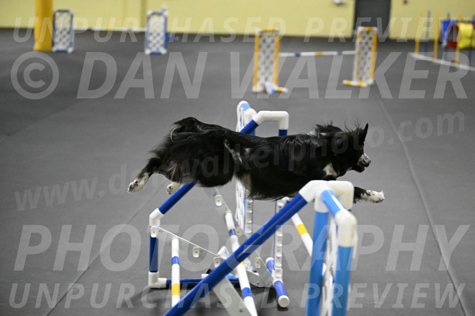 Sir-Koen-Armbrust-03870