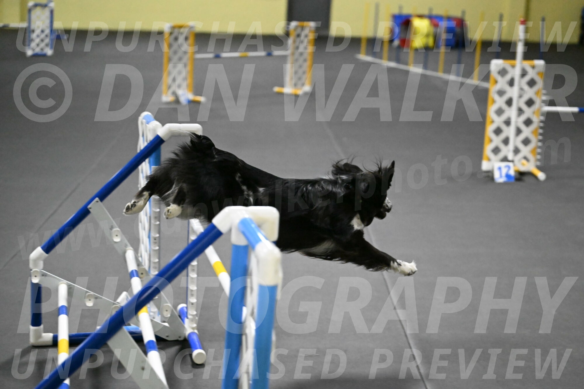 Sir-Koen-Armbrust-03871