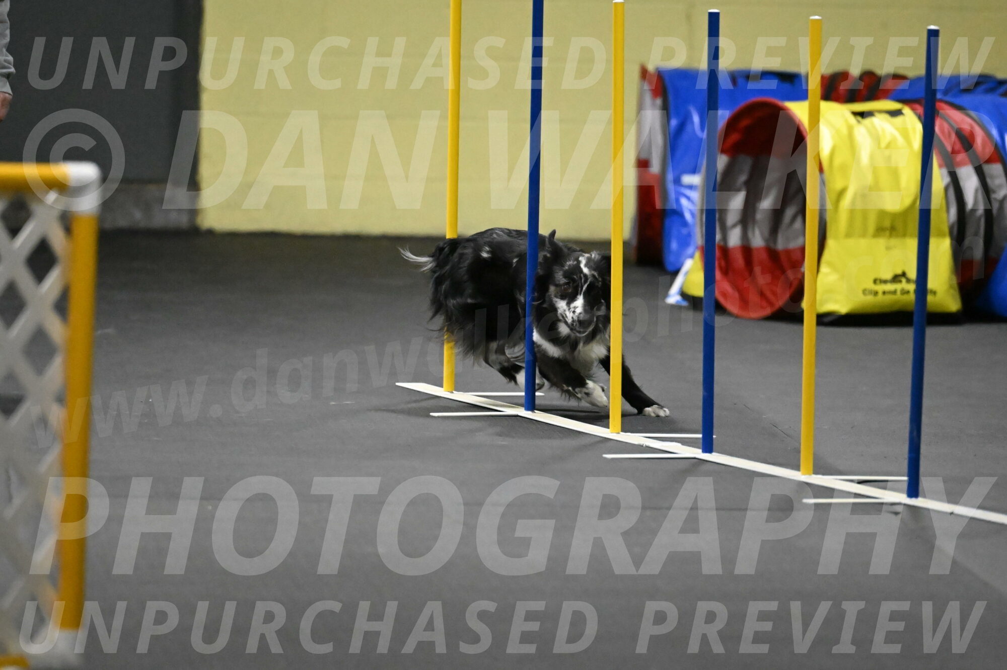 Sir-Koen-Armbrust-03872