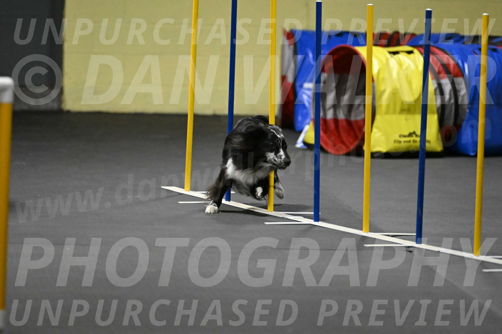 Sir-Koen-Armbrust-03874