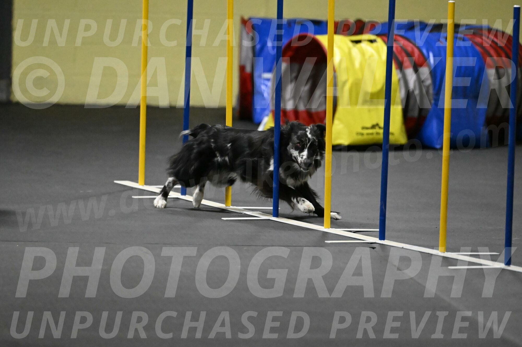 Sir-Koen-Armbrust-03877