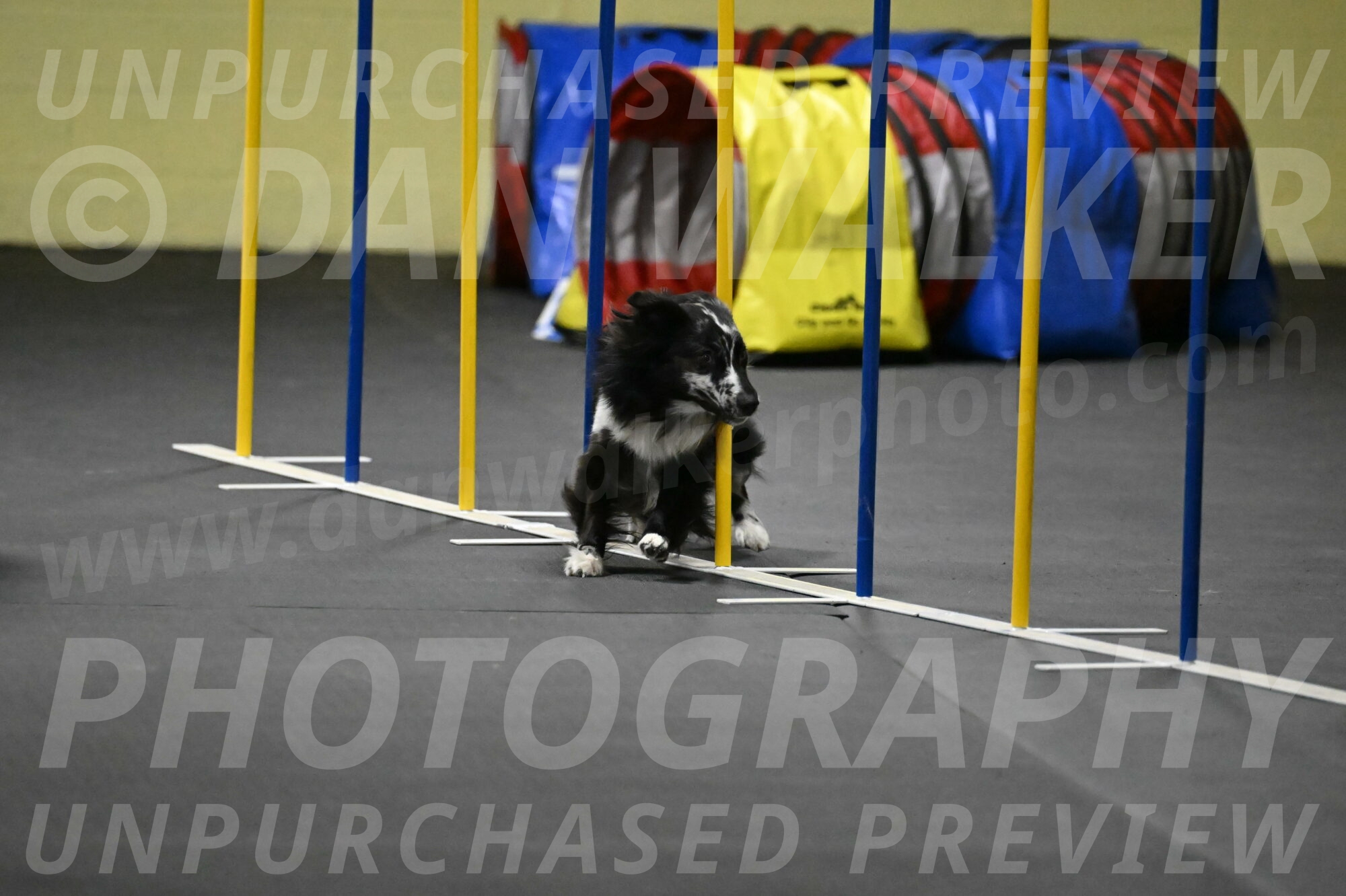 Sir-Koen-Armbrust-03879