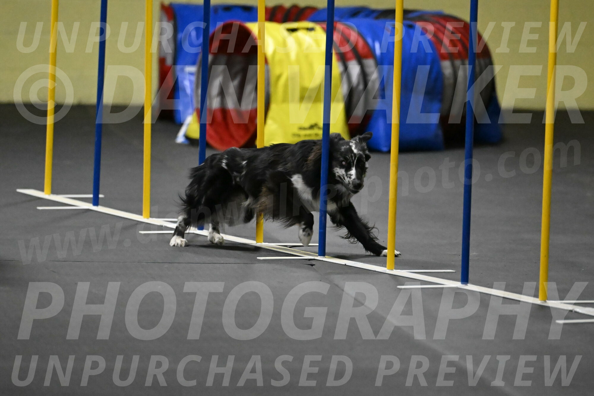 Sir-Koen-Armbrust-03882