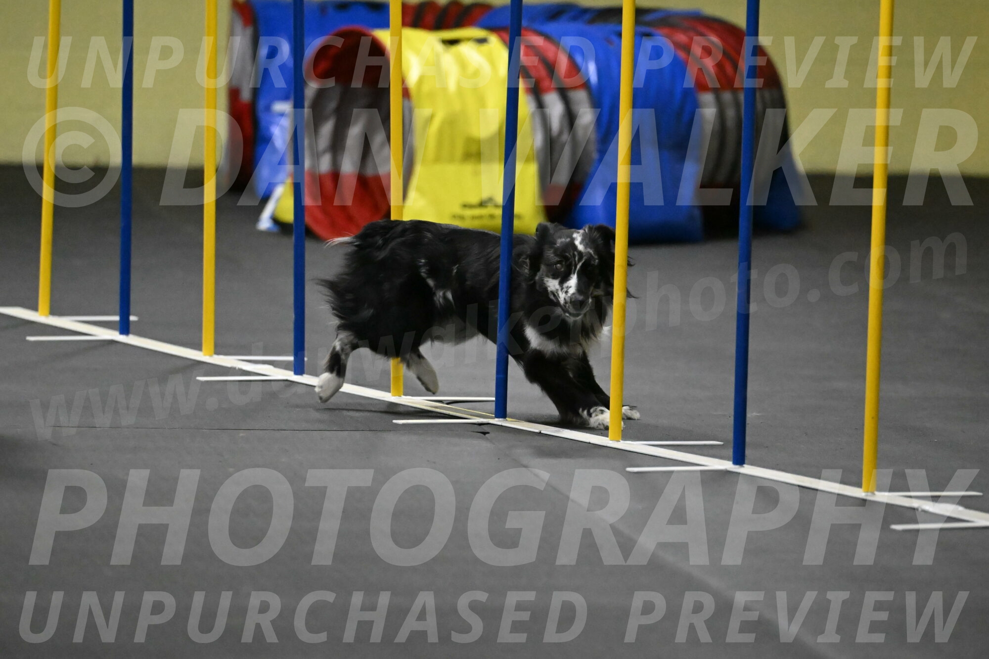 Sir-Koen-Armbrust-03883