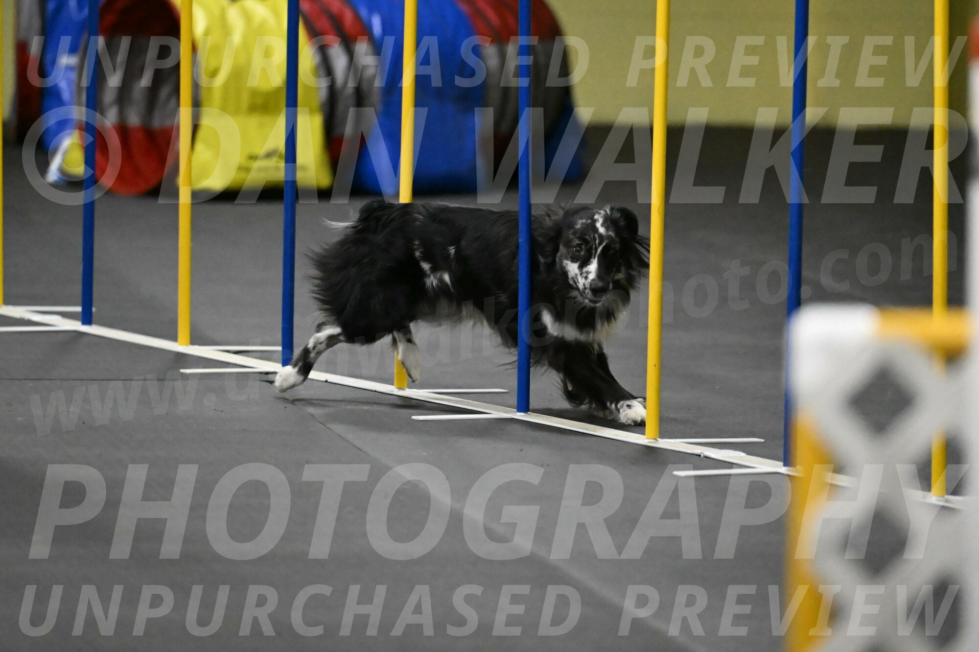 Sir-Koen-Armbrust-03889