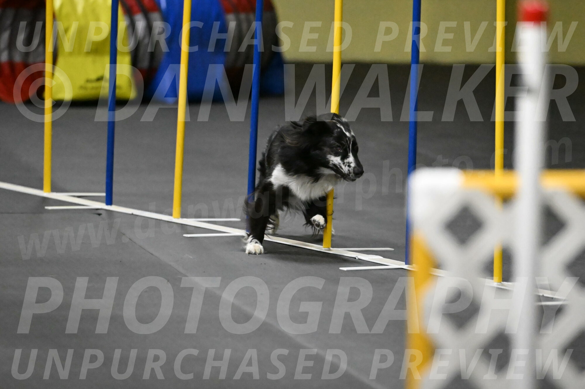 Sir-Koen-Armbrust-03892