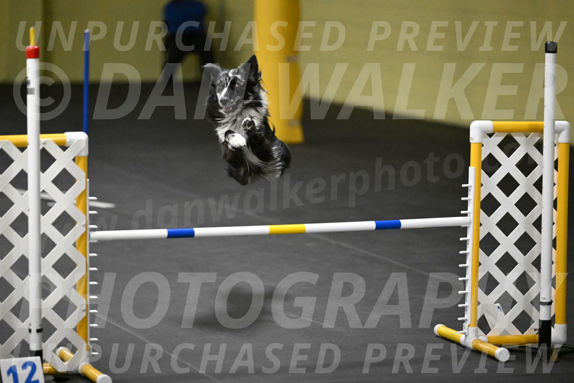 Sir-Koen-Armbrust-03895