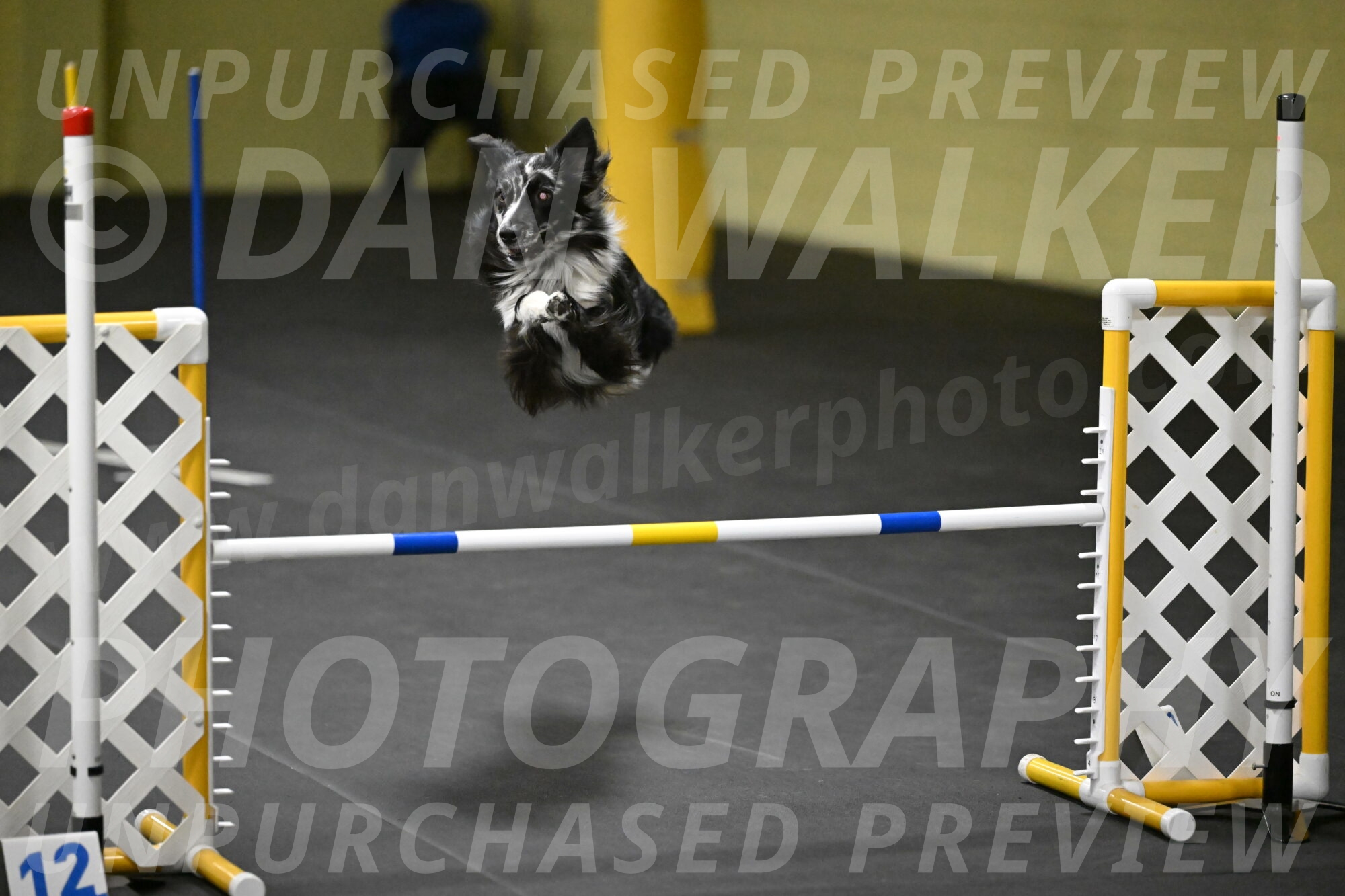 Sir-Koen-Armbrust-03896