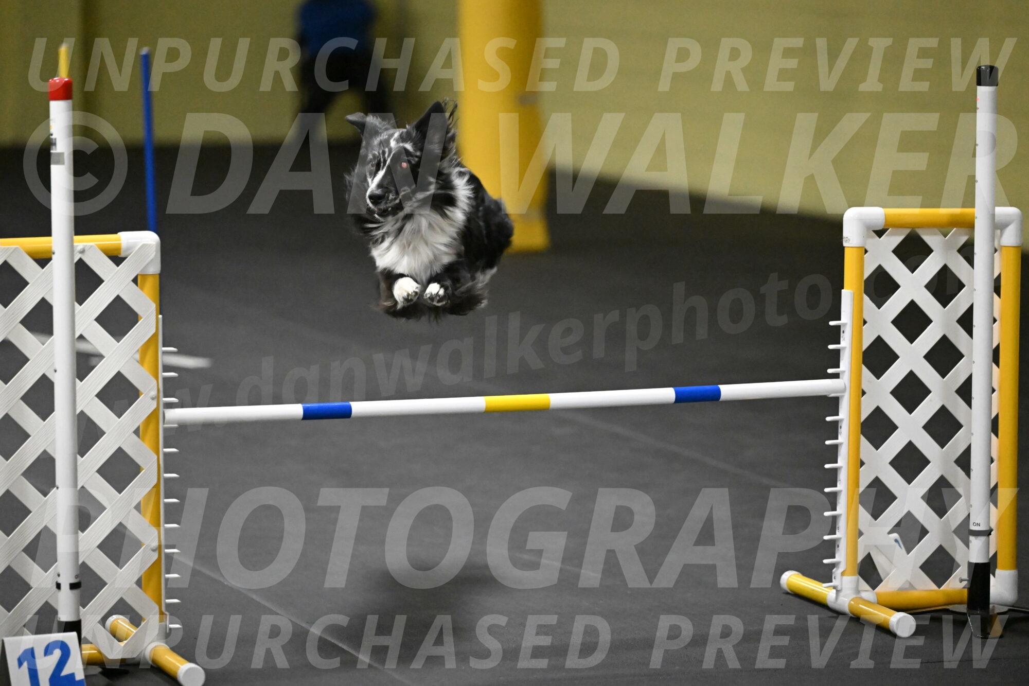 Sir-Koen-Armbrust-03897