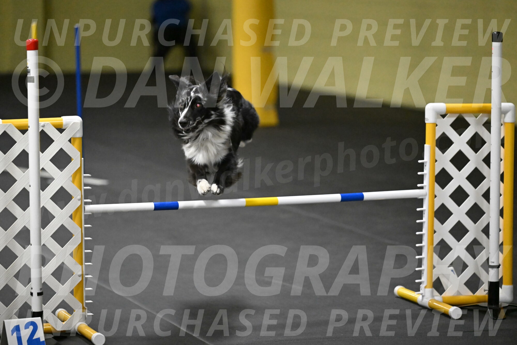 Sir-Koen-Armbrust-03898