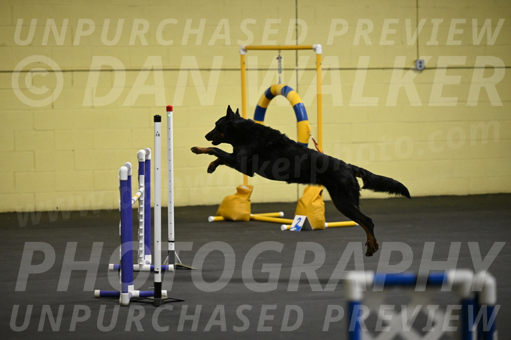 Sirsee-Bourell-Casey-07125