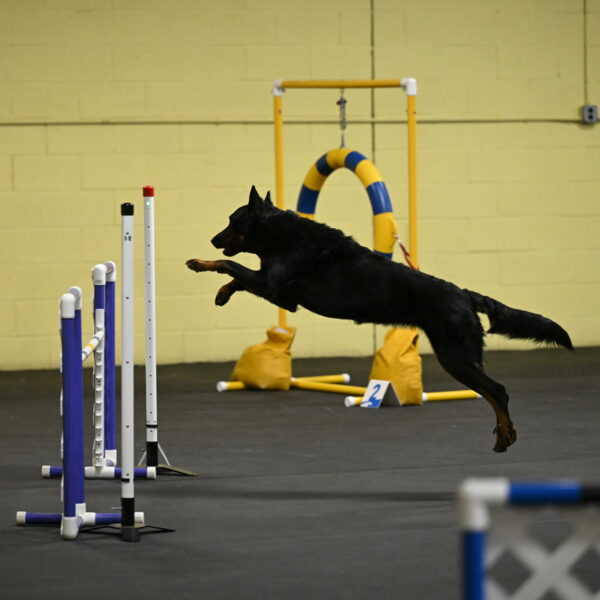 Sirsee-Bourell-Casey-07125