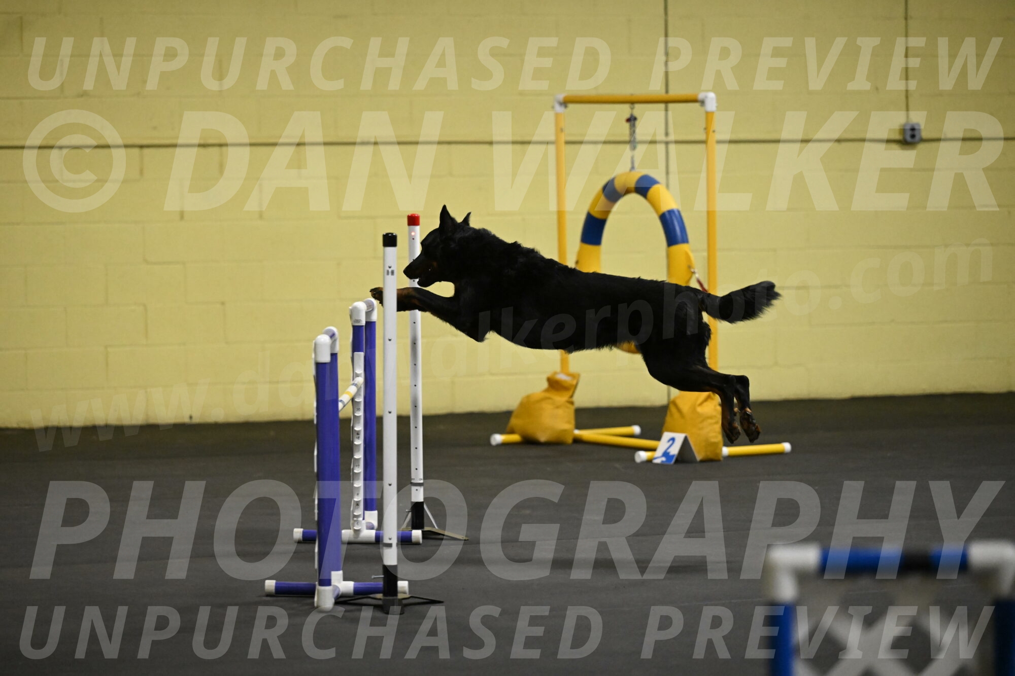 Sirsee-Bourell-Casey-07126