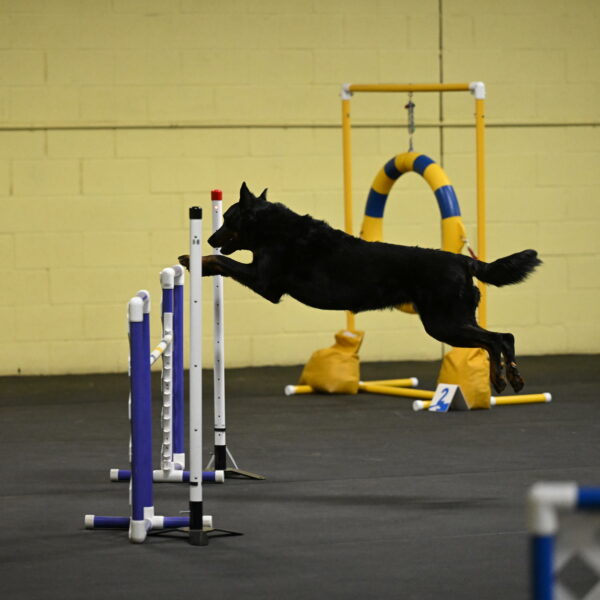 Sirsee-Bourell-Casey-07126