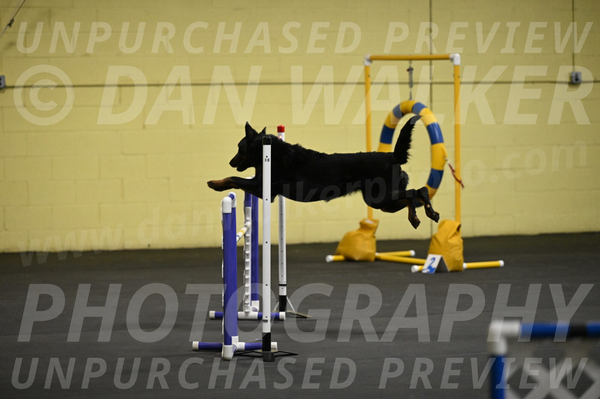 Sirsee-Bourell-Casey-07127