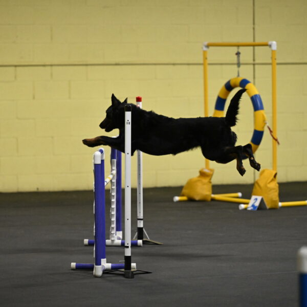 Sirsee-Bourell-Casey-07127