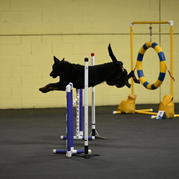 Sirsee-Bourell-Casey-07128