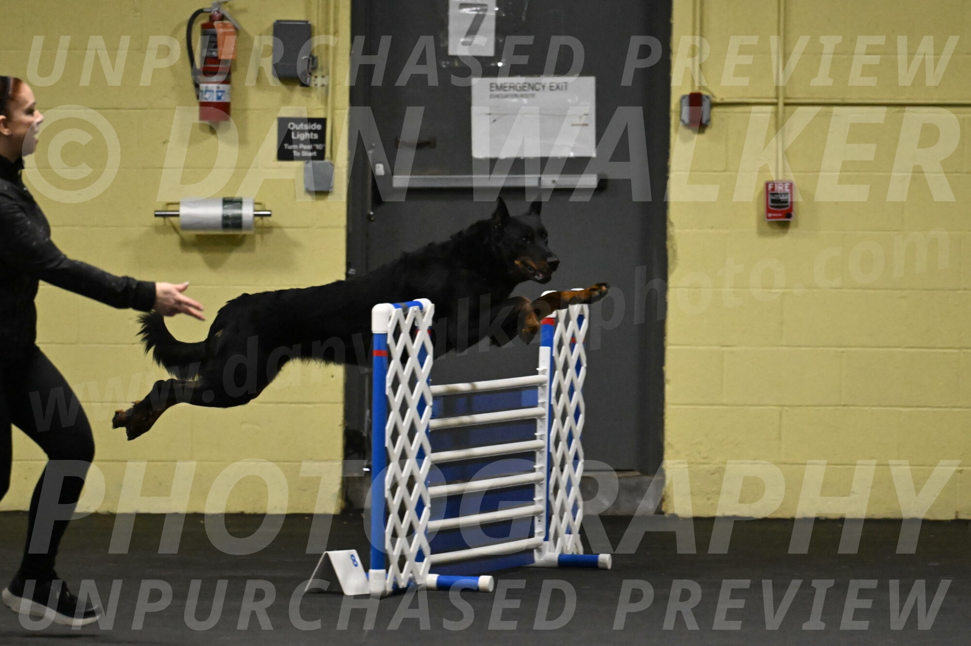 Sirsee-Bourell-Casey-07130