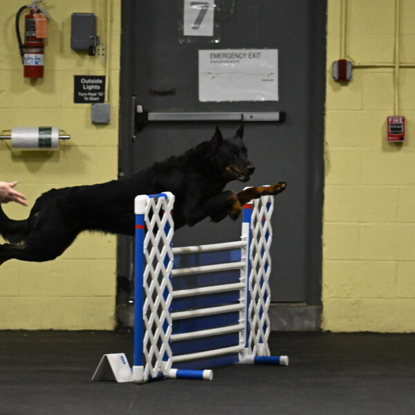 Sirsee-Bourell-Casey-07130