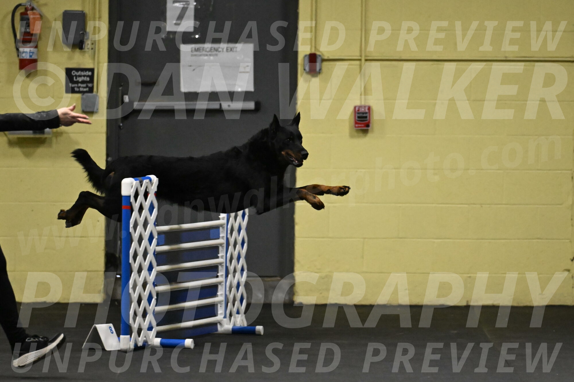 Sirsee-Bourell-Casey-07131