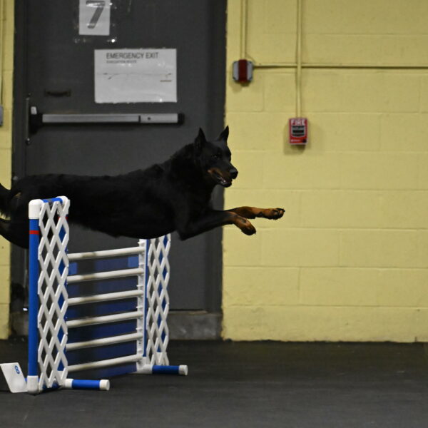 Sirsee-Bourell-Casey-07131