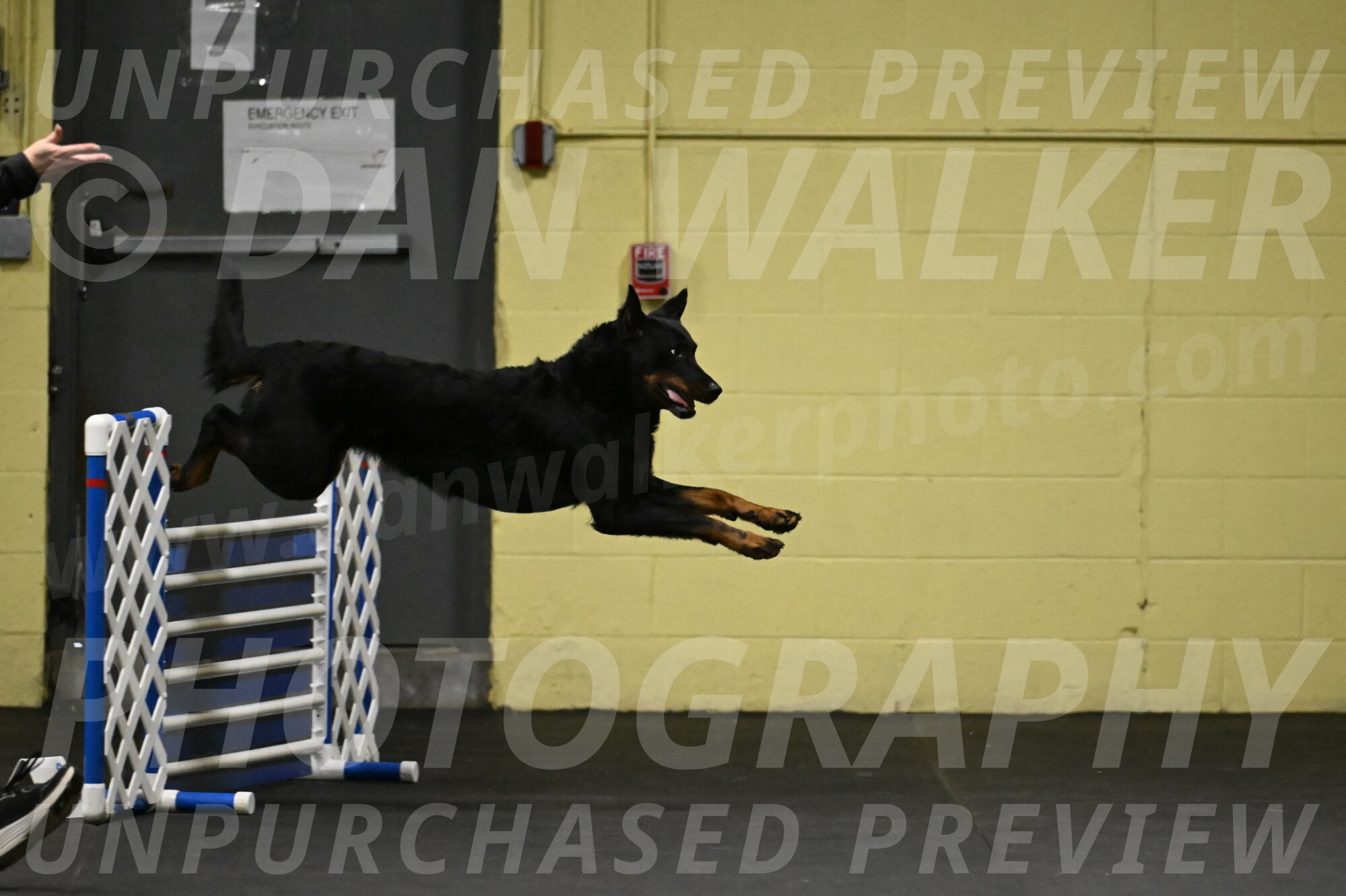 Sirsee-Bourell-Casey-07132