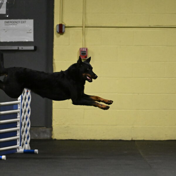 Sirsee-Bourell-Casey-07132