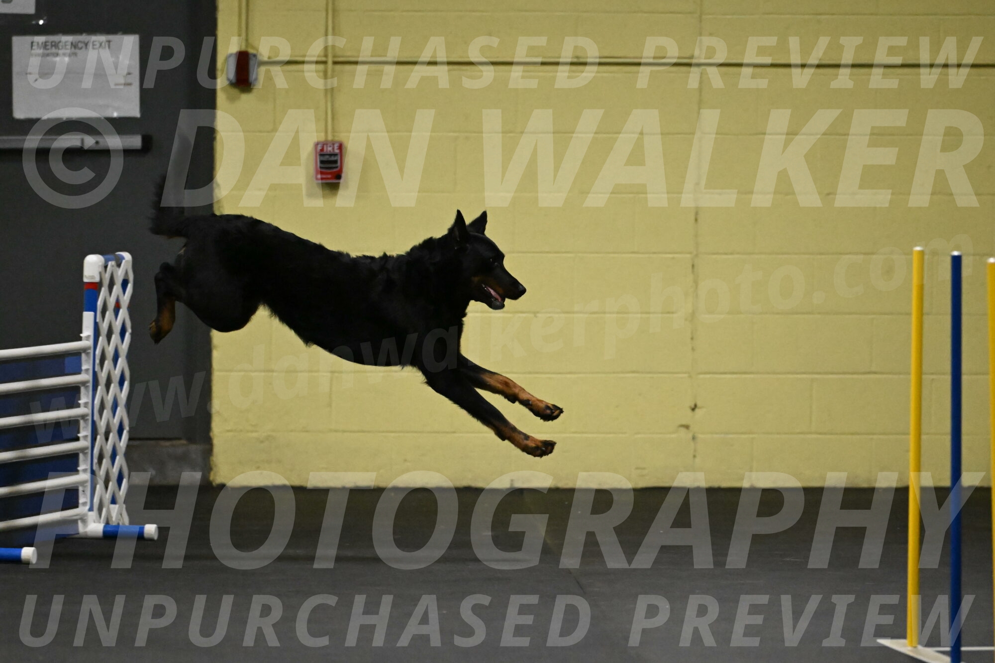 Sirsee-Bourell-Casey-07133