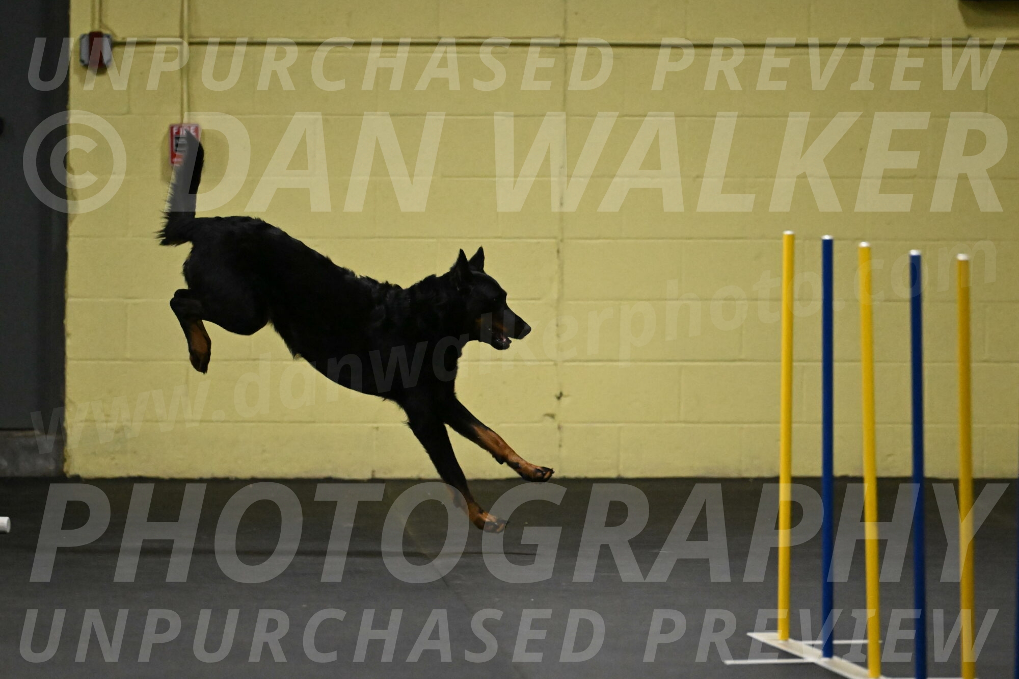 Sirsee-Bourell-Casey-07134