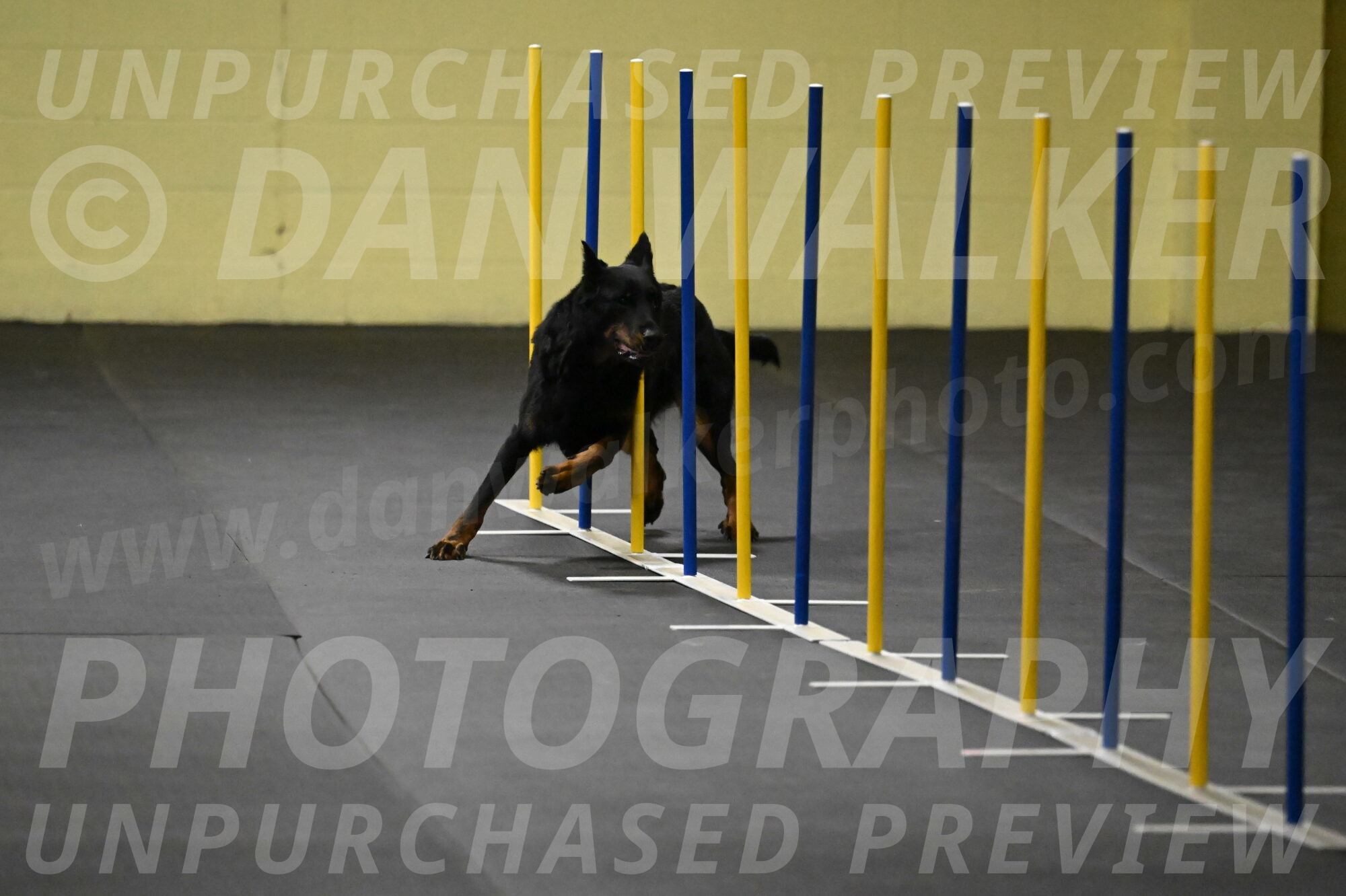 Sirsee-Bourell-Casey-07138