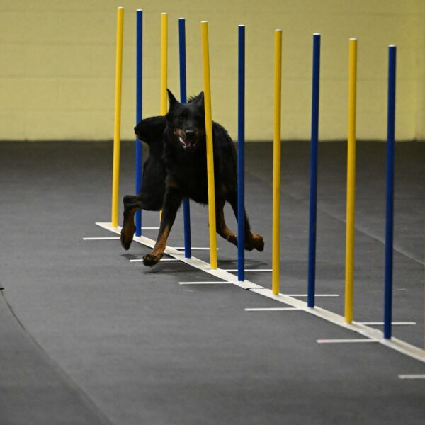 Sirsee-Bourell-Casey-07143