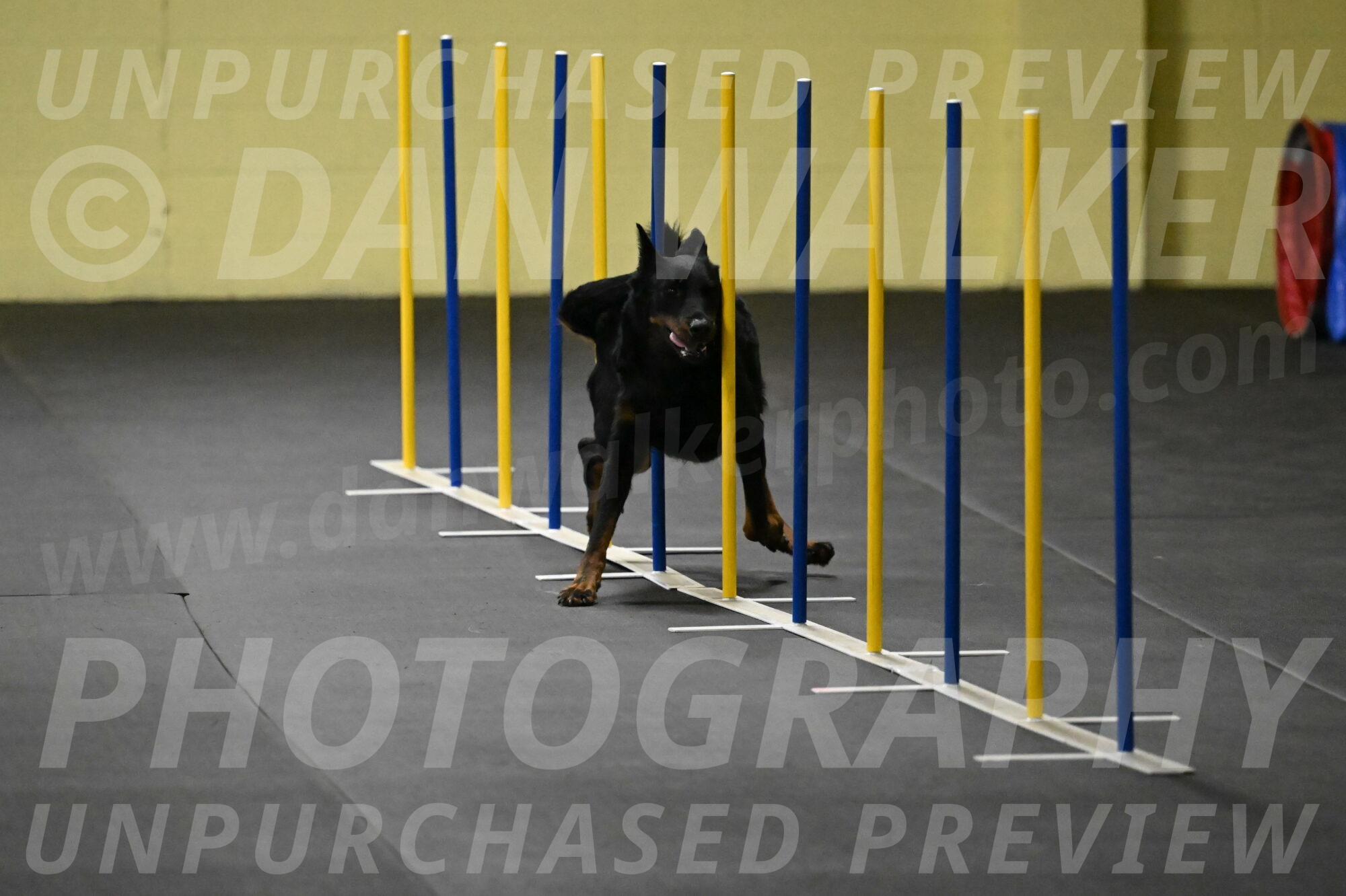 Sirsee-Bourell-Casey-07149